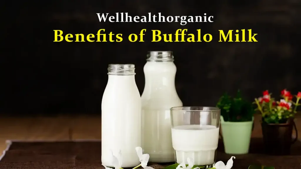 15 Science-Backed Benefits of Buffalo Milk