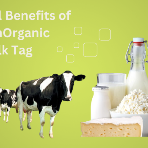 Nutritional Benefits of WellHealthOrganic Buffalo Milk Tag