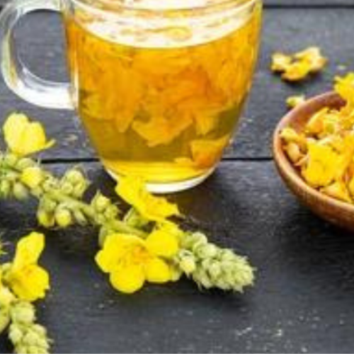 The Benefits of Silk Mullein Herb for Health and Wellnes