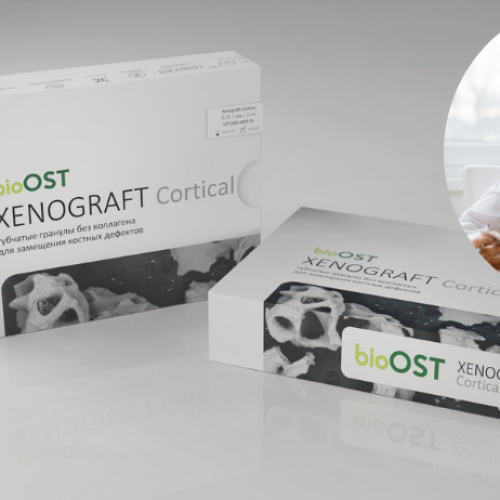 Everything You Know About Skin Xenograft HCMV Megan Loyd